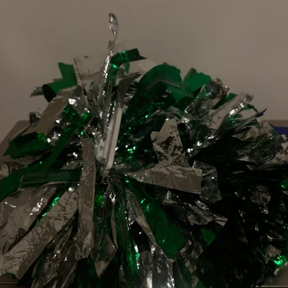 CheerLeader - Picture 3 of 3